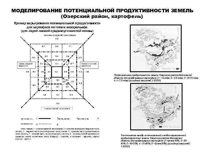 МОДЕЛИРОВАНИЕ ПОТЕНЦИАЛЬНОЙ ПРОДУКТИВНОСТИ ЗЕМЕЛЬ (Озерский район, картофель) Пример варьирования потенциальной продуктивности для картофеля по