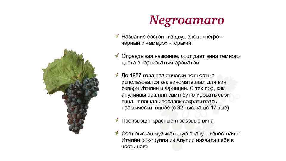 Название состоит из двух слов: «негро» – черный и «амаро» - горький Оправдывая название,