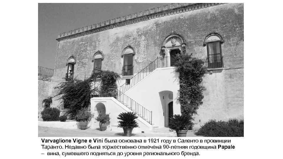 Varvaglione Vigne e Vini была основана в 1921 году в Саленто в провинции Таранто.