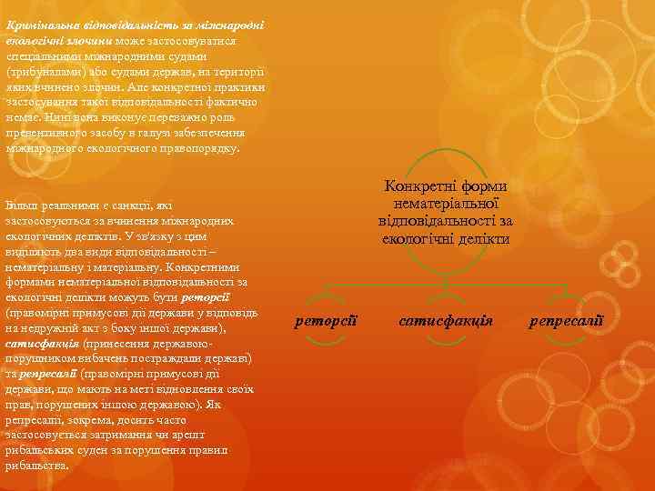 Кримінальна відповідальність за міжнародні екологічні злочини може застосовуватися спеціальними міжнародними судами (трибуналами) або судами
