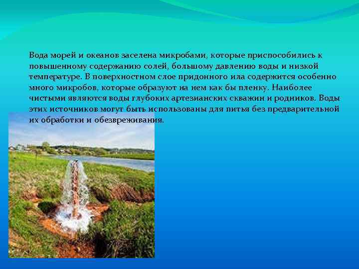 Вода морей и океанов заселена микробами, которые приспособились к повышенному содержанию солей, большому давлению