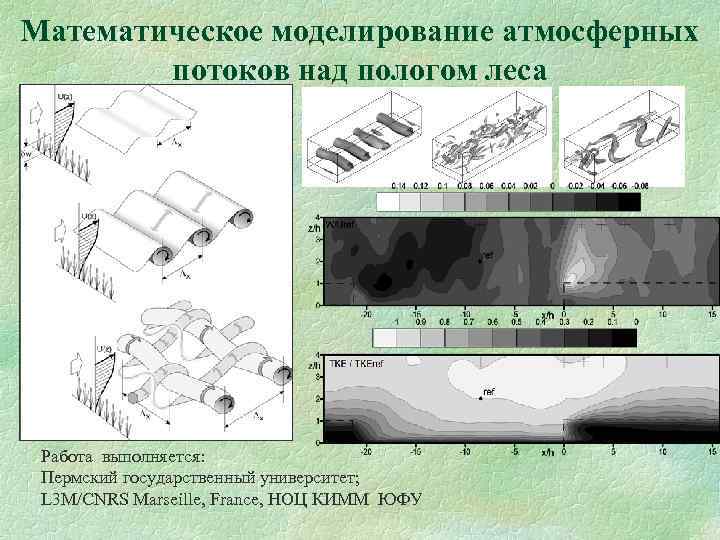Математическое моделирование атмосферных потоков над пологом леса Работа выполняется: Пермский государственный университет; L 3