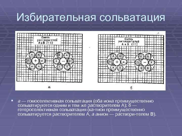 Избирательная сольватация § а — гомоселективная сольватация (оба иона преимущественно сольватируются одним и тем