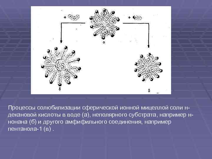 Процессы солюбилизации сферической ионной мицеллой соли н декановой кислоты в воде (а), неполярного субстрата,