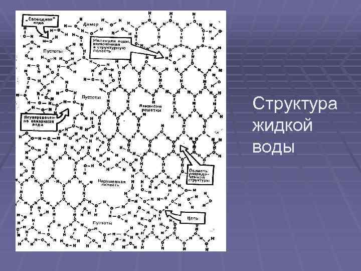 Структура жидкой воды 