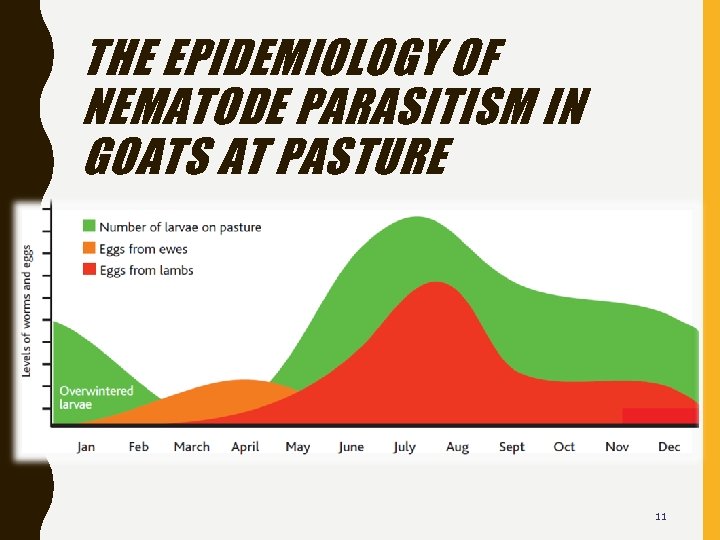 THE EPIDEMIOLOGY OF NEMATODE PARASITISM IN GOATS AT PASTURE 11 