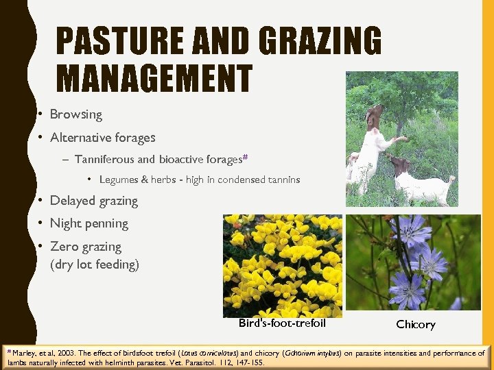 PASTURE AND GRAZING MANAGEMENT • Browsing • Alternative forages – Tanniferous and bioactive forages#