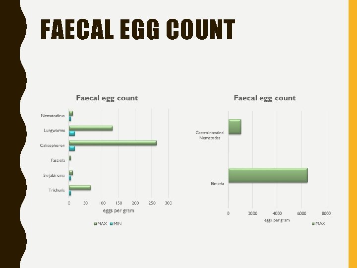 FAECAL EGG COUNT 