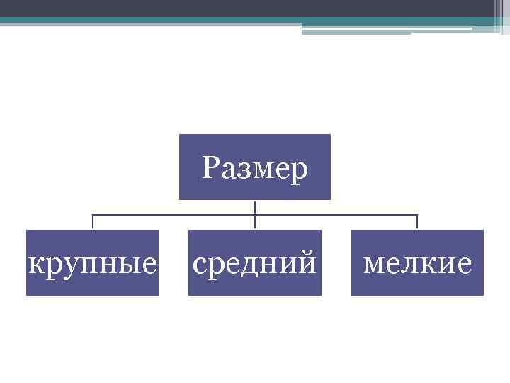 Размер крупные средний мелкие 