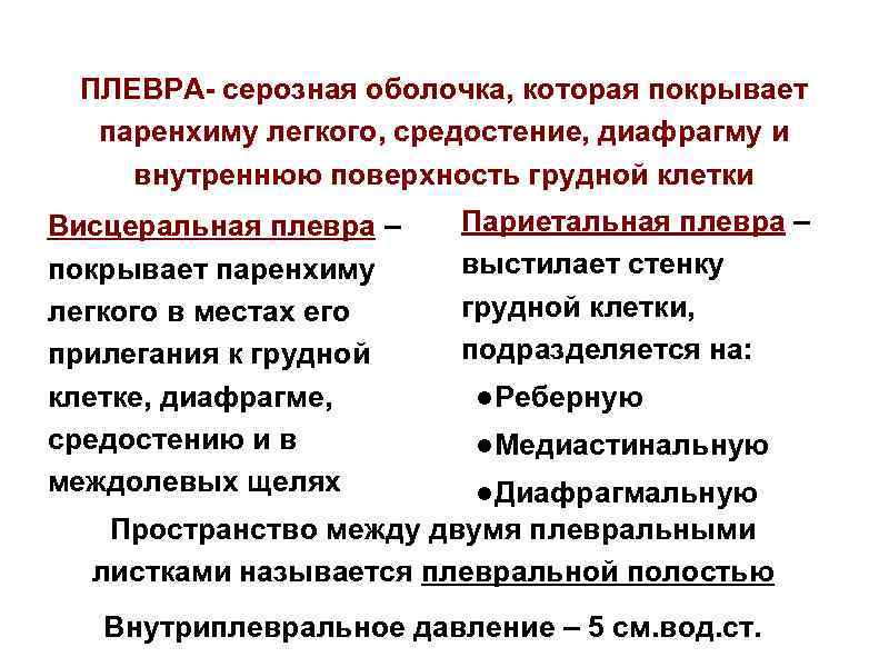 ПЛЕВРА- серозная оболочка, которая покрывает паренхиму легкого, средостение, диафрагму и внутреннюю поверхность грудной клетки