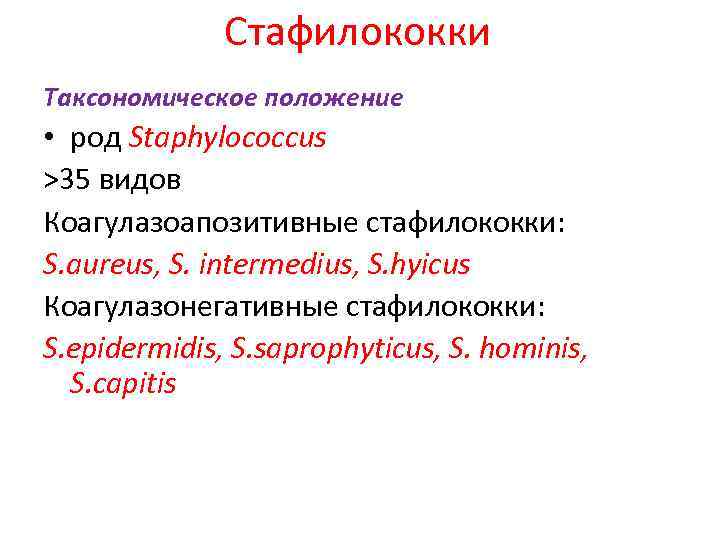 Стафилококки Таксономическое положение • род Staphylococcus >35 видов Коагулазоапозитивные стафилококки: S. aureus, S. intermedius,