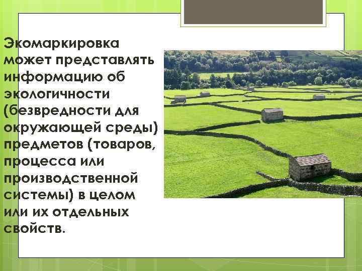 Экомаркировка может представлять информацию об экологичности (безвредности для окружающей среды) предметов (товаров, процесса или