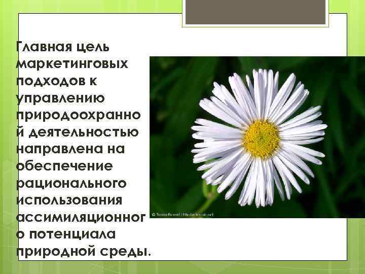 Главная цель маркетинговых подходов к управлению природоохранно й деятельностью направлена на обеспечение рационального использования