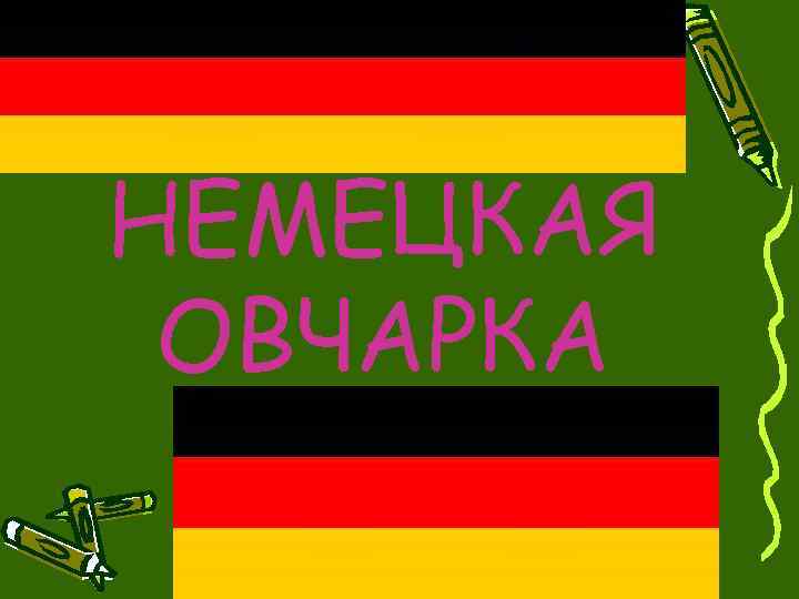 НЕМЕЦКАЯ ОВЧАРКА 