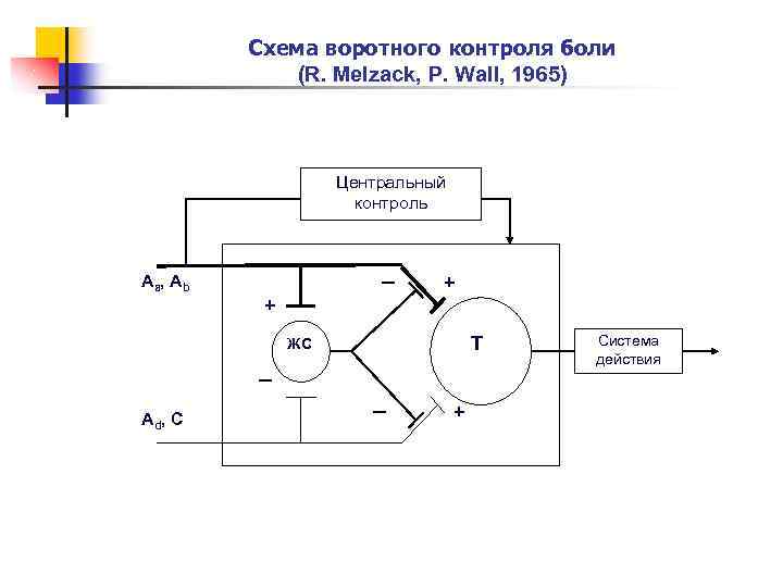 Теория воротного контроля формирования болевого ощущения презентация