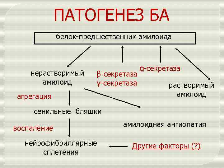 ПАТОГЕНЕЗ БА белок-предшественник амилоида нерастворимый амилоид β-секретаза γ-секретаза агрегация ɑ-секретаза растворимый амилоид сенильные бляшки
