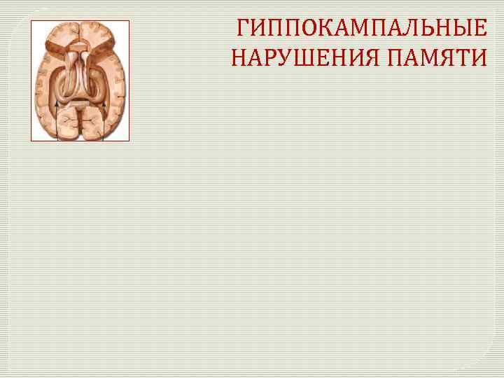 ГИППОКАМПАЛЬНЫЕ НАРУШЕНИЯ ПАМЯТИ 