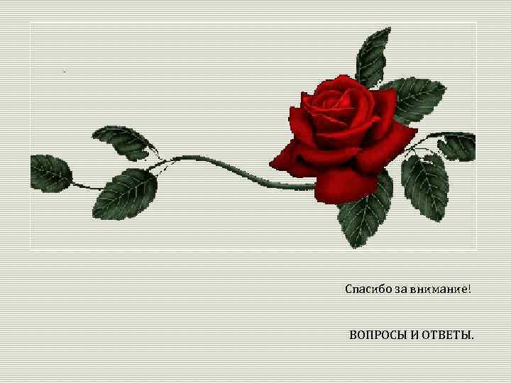 Спасибо за внимание! ВОПРОСЫ И ОТВЕТЫ. 