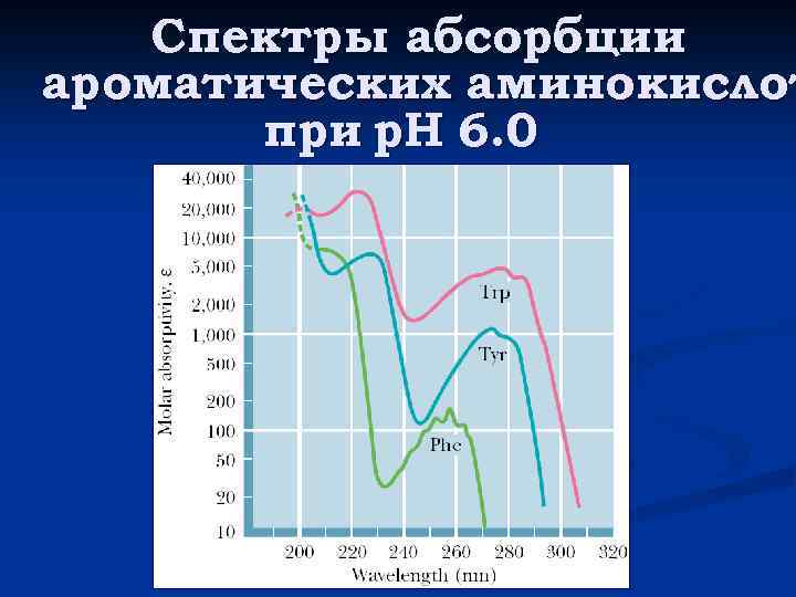 Спектры абсорбции ароматических аминокислот при р. Н 6. 0 