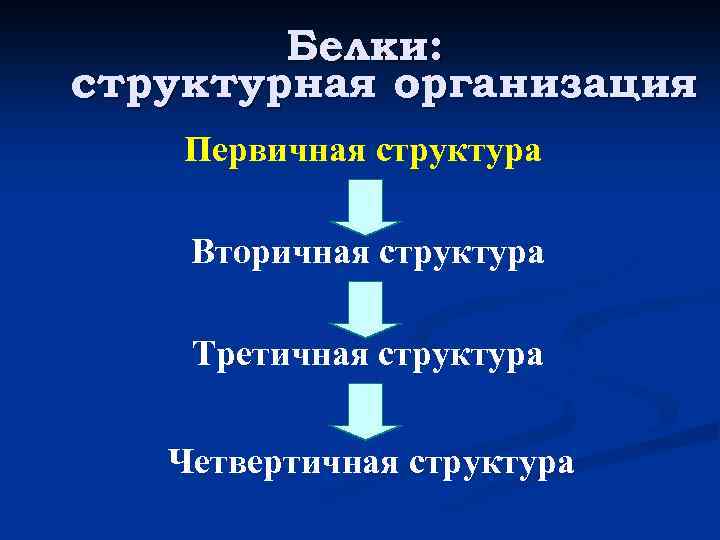 Белки: структурная организация Первичная структура Вторичная структура Третичная структура Четвертичная структура 