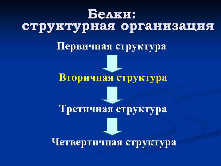 Белки: структурная организация Первичная структура Вторичная структура Третичная структура Четвертичная структура 
