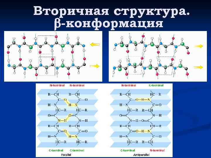 Первичная вторичная структура