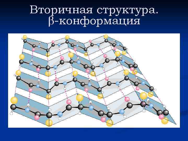 Вторичная структура. -конформация 