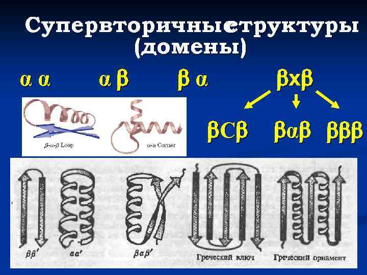 Супервторичные структуры (домены) αα α α х С α 