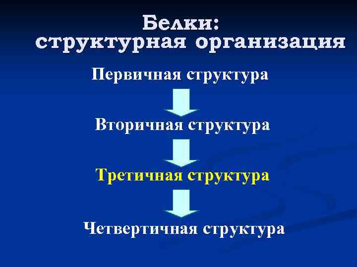 Белки: структурная организация Первичная структура Вторичная структура Третичная структура Четвертичная структура 