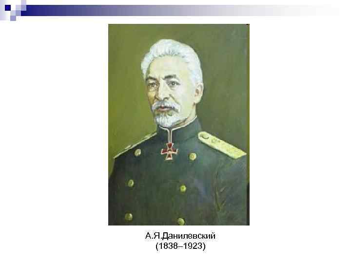 А. Я. Данилевский (1838– 1923) 