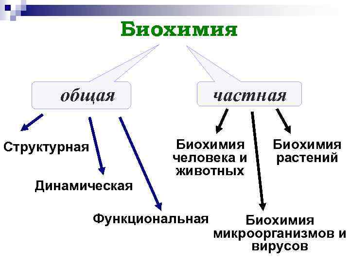 Основные биохимические