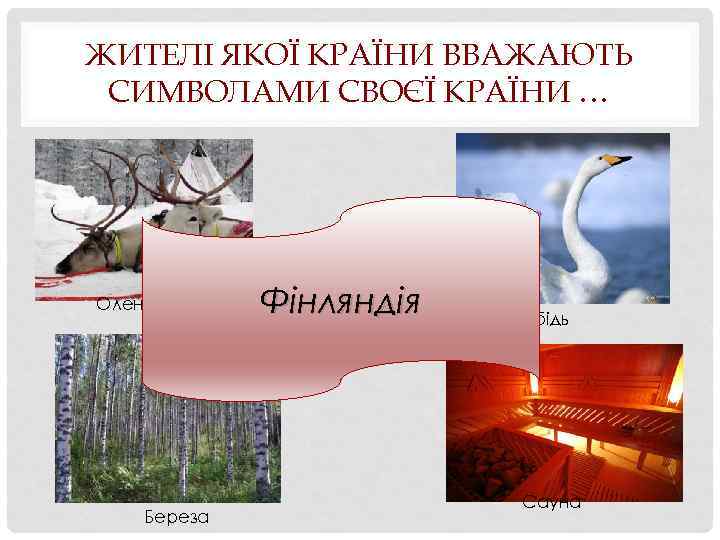 ЖИТЕЛІ ЯКОЇ КРАЇНИ ВВАЖАЮТЬ СИМВОЛАМИ СВОЄЇ КРАЇНИ … Олень Береза Фінляндія Лебідь Сауна 