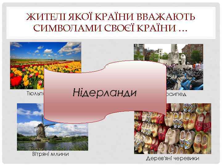 ЖИТЕЛІ ЯКОЇ КРАЇНИ ВВАЖАЮТЬ СИМВОЛАМИ СВОЄЇ КРАЇНИ … Тюльпан Вітряні млини Нідерланди Велосипед Дерев'яні