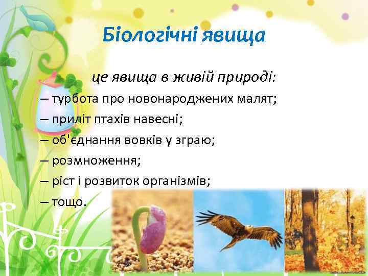 Біологічні явища це явища в живій природі: – турбота про новонароджених малят; – приліт