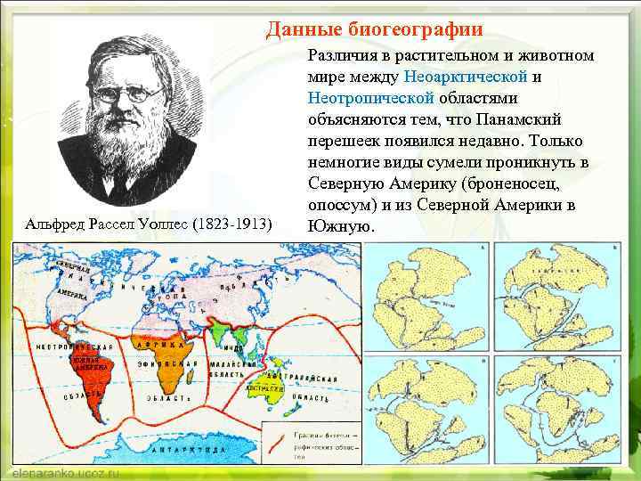 Данные биогеографии Альфред Рассел Уоллес (1823 -1913) Различия в растительном и животном мире между