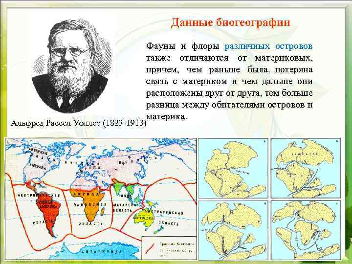 Данные биогеографии Фауны и флоры различных островов также отличаются от материковых, причем, чем раньше