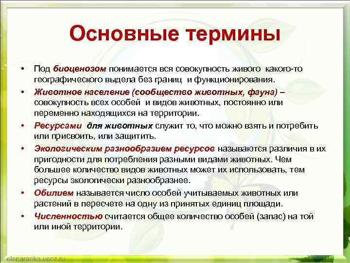 Профессия биогеограф 6 класс. Биогеография это наука. Биогеография это наука в биологии. Биогеография это наука изучающая кратко. Биогеография это наука о биологической.