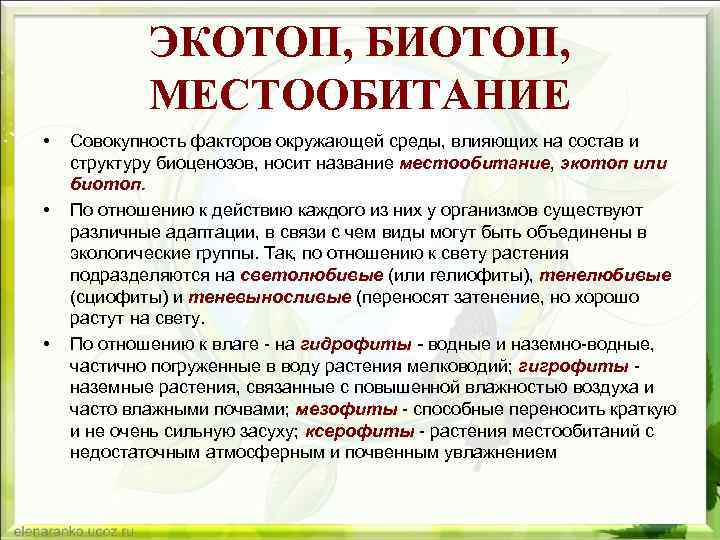 ЭКОТОП, БИОТОП, МЕСТООБИТАНИЕ • • • Совокупность факторов окружающей среды, влияющих на состав и