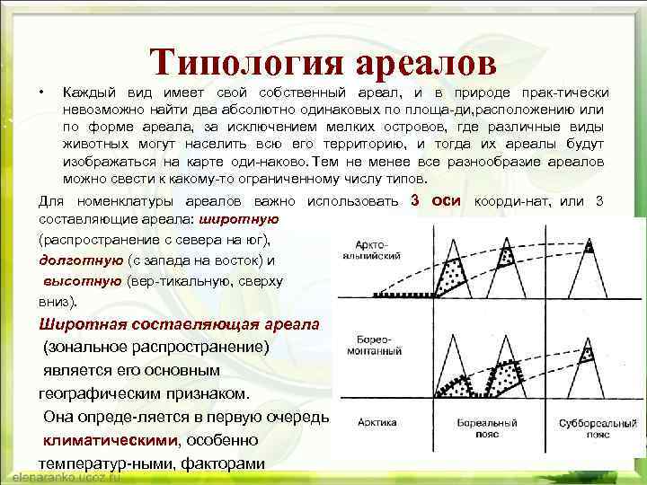 Типология ареалов • Каждый вид имеет свой собственный ареал, и в природе прак тически