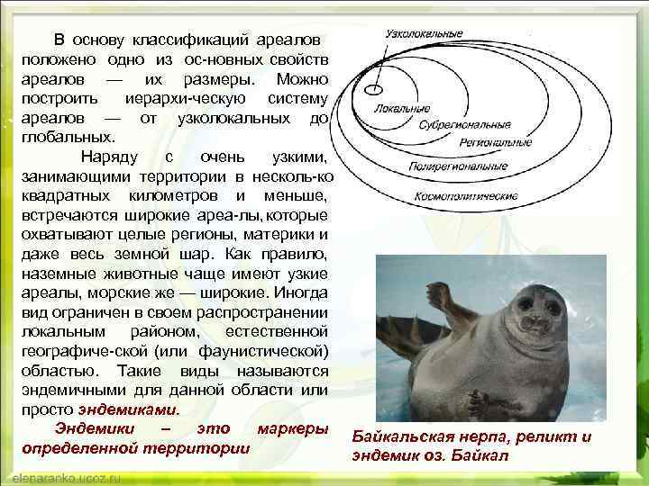 В основу классификаций ареалов положено одно из ос новных свойств ареалов — их размеры.