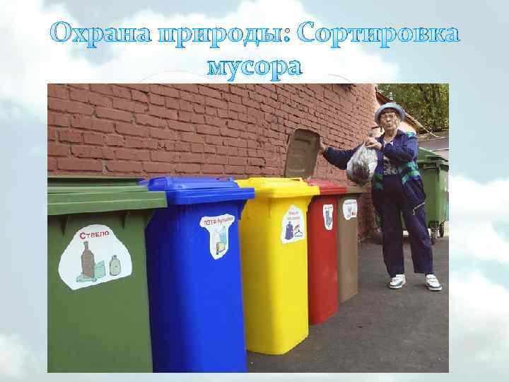 Охрана природы: Сортировка мусора 