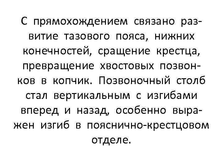 С прямохождением связано развитие тазового пояса, нижних конечностей, сращение крестца, превращение хвостовых позвонков в