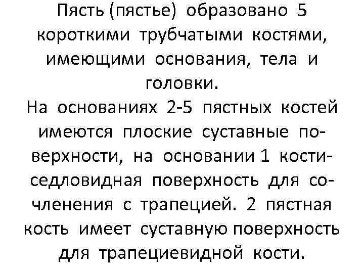 Пясть (пястье) образовано 5 короткими трубчатыми костями, имеющими основания, тела и головки. На основаниях