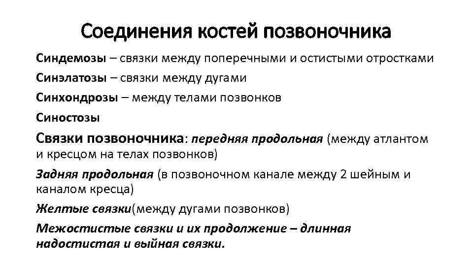 Соединения костей позвоночника Синдемозы – связки между поперечными и остистыми отростками Синэлатозы – связки