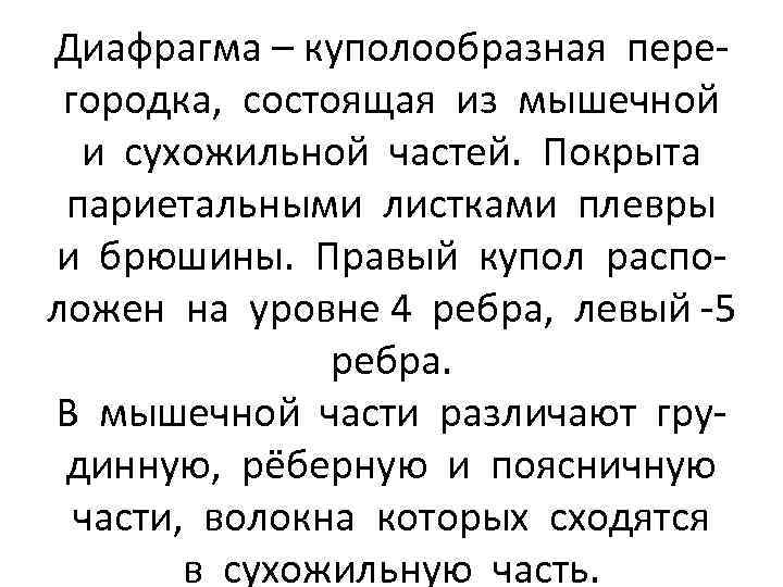 Диафрагма – куполообразная перегородка, состоящая из мышечной и сухожильной частей. Покрыта париетальными листками плевры