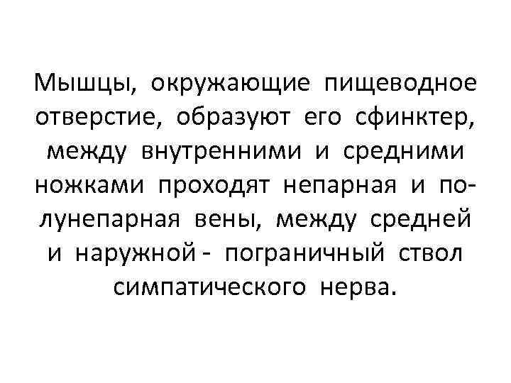 Мышцы, окружающие пищеводное отверстие, образуют его сфинктер, между внутренними и средними ножками проходят непарная