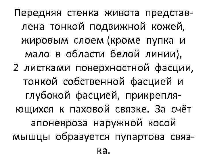 Передняя стенка живота представлена тонкой подвижной кожей, жировым слоем (кроме пупка и мало в