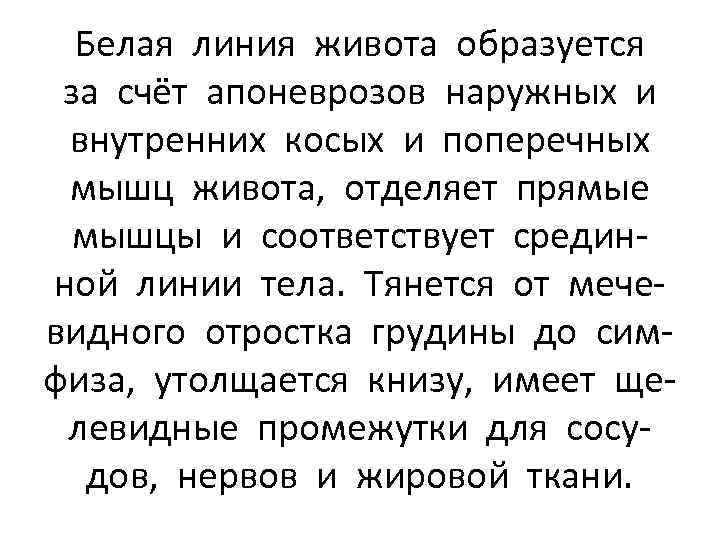 Белая линия живота образуется за счёт апоневрозов наружных и внутренних косых и поперечных мышц