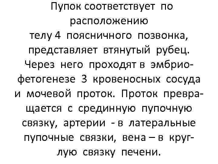 Пупок соответствует по расположению телу 4 поясничного позвонка, представляет втянутый рубец. Через него проходят