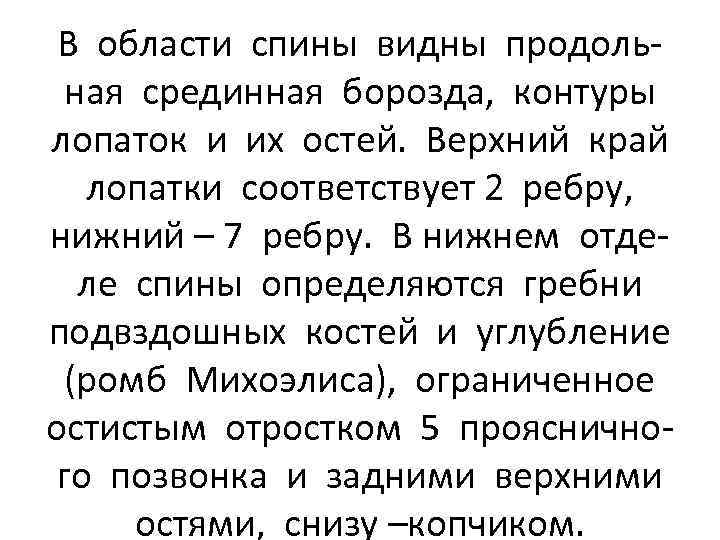 В области спины видны продольная срединная борозда, контуры лопаток и их остей. Верхний край